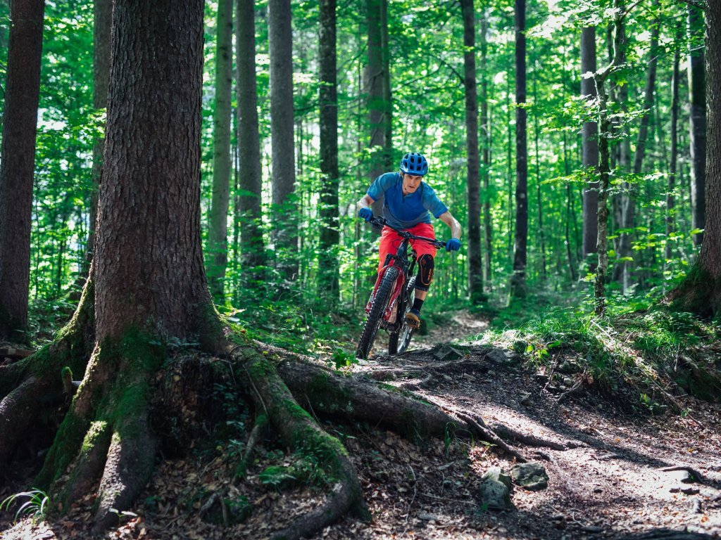 Bike Parcours in Au-Schoppernau