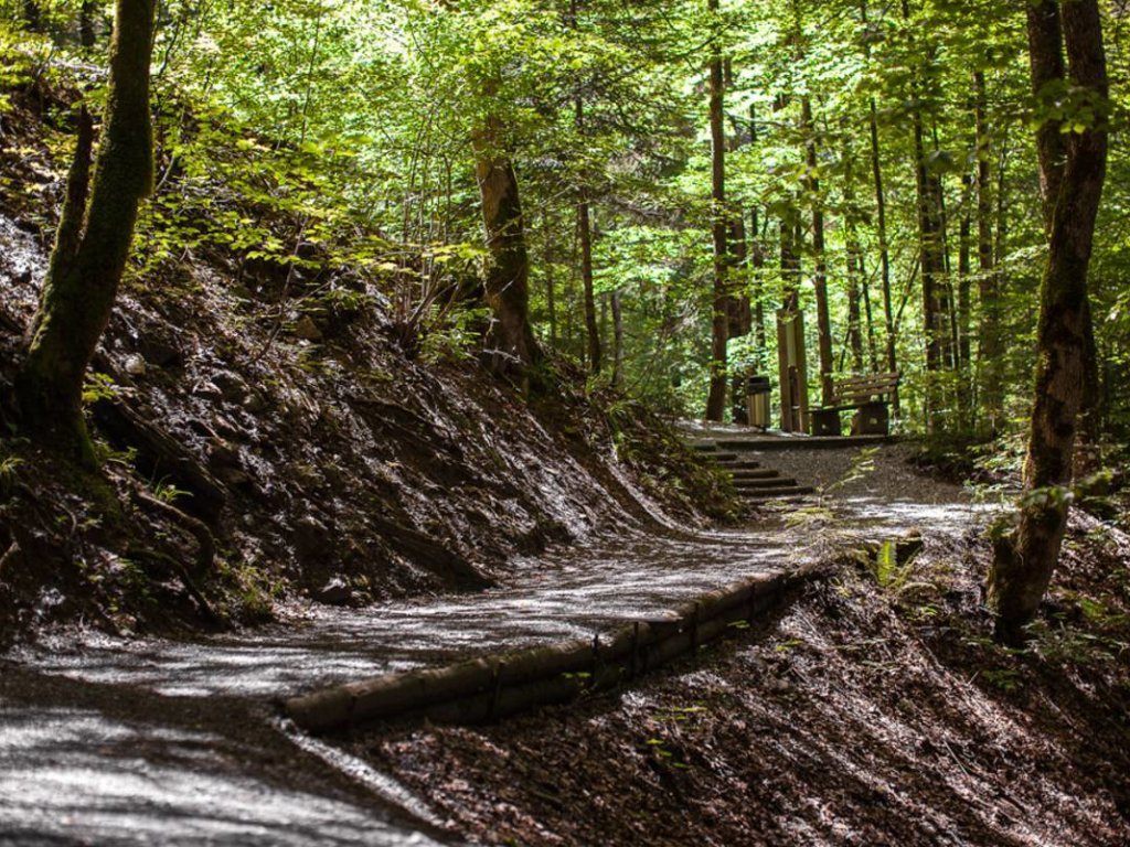 Rappenlochschlucht in Dornbirn