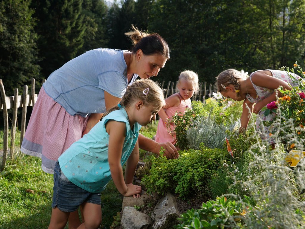 Naturerlebnis im Kräutergarten im Holdamoos in Au-Schoppernau