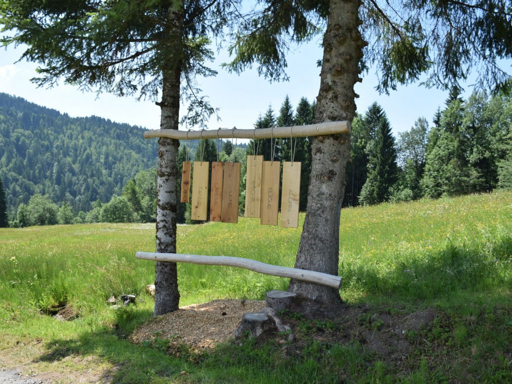 Tobelweg in Sibratsgfäll im Bregenzerwald 