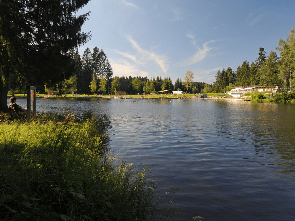 Waldsee Ruhebank in Lindenberg