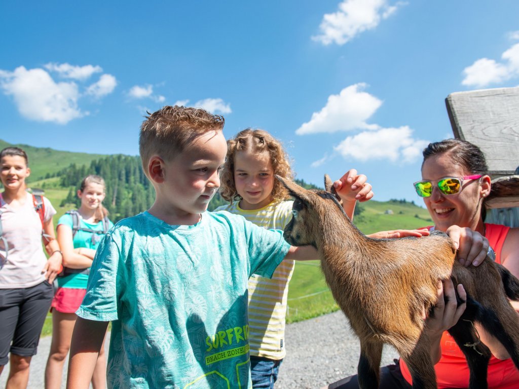 Mit der Familie wandern und erholen an der Alpe Unterdamüls