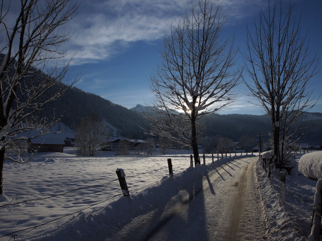 Winterlandschaft in Andelsbuch