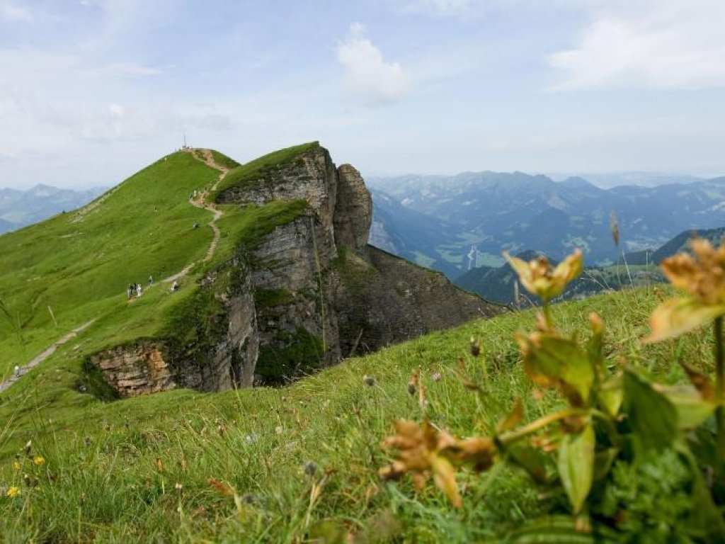 Diedamskopf in Au-Schoppernau im Sommer