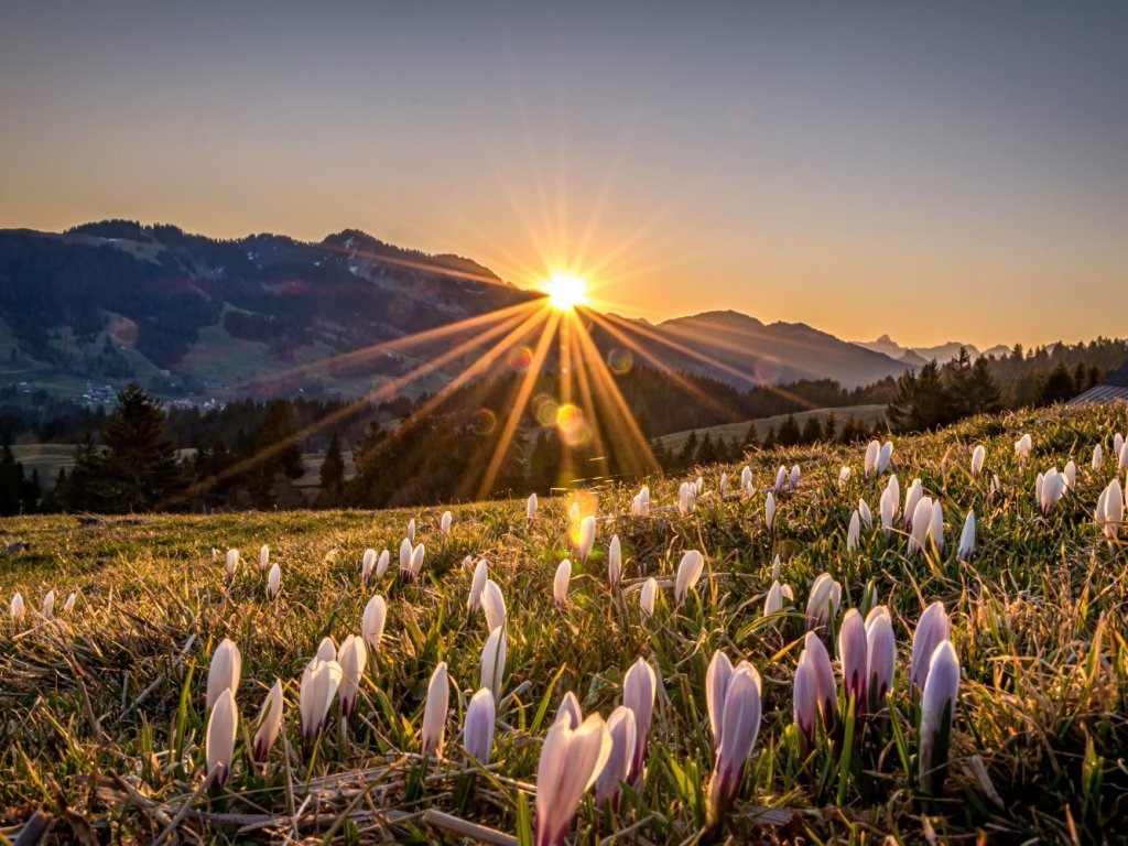 Schetteregg im Frühling