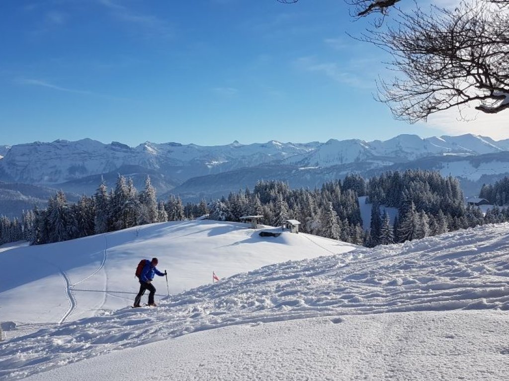 Zum Gipfel des Brüggelekopfs