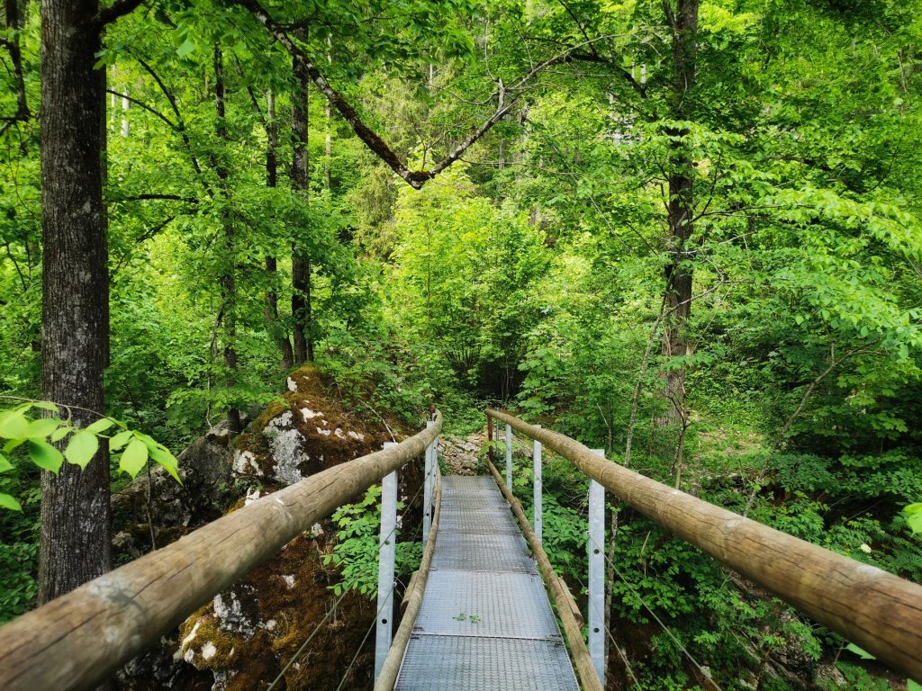 Brücke im Höhlenpark Bezau