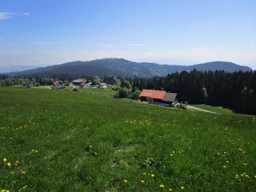 Blick über die Parzelle Hub auf den Hirschberg