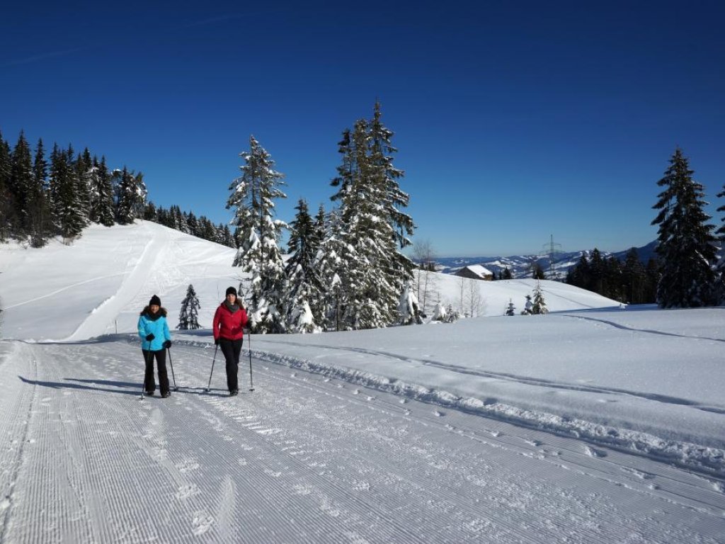 Winterwandern am Brüggelekopf