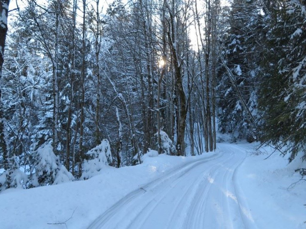 Winterwanderweg zum Kaltenbrunnen