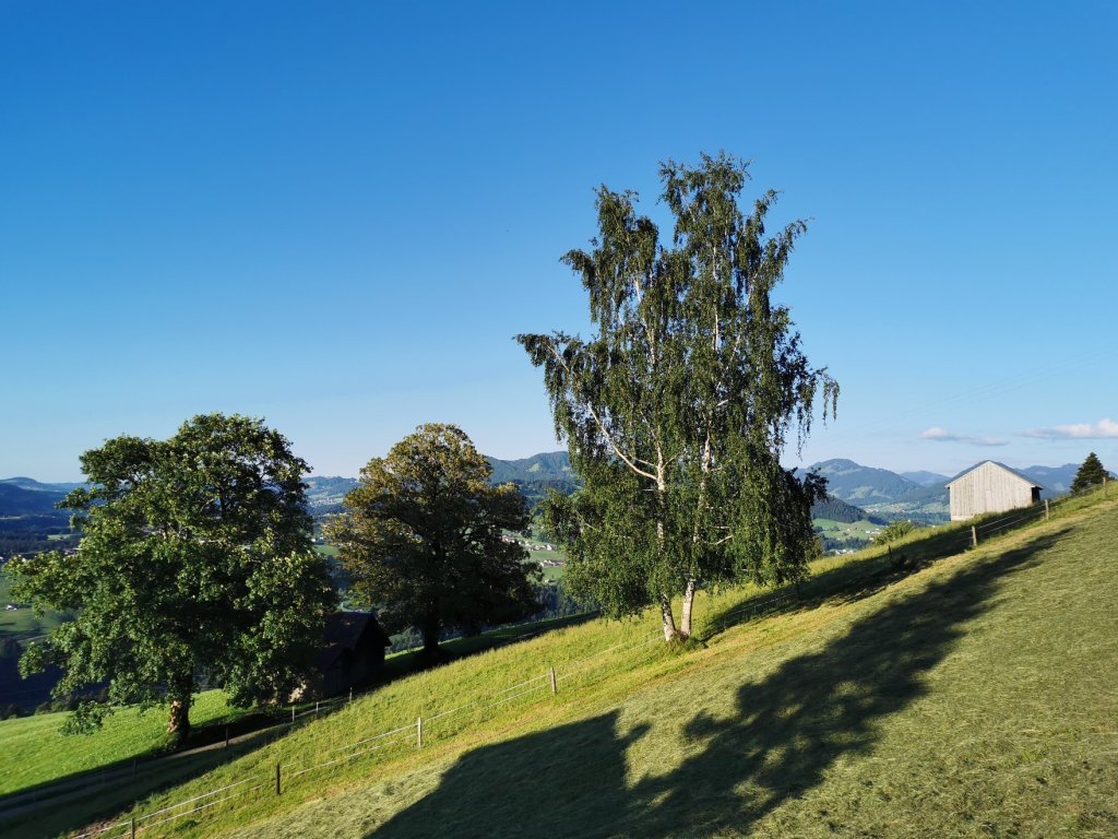 Weg zum Brüggelekopf mit Bilck auf den vorderen Bregenzerwald