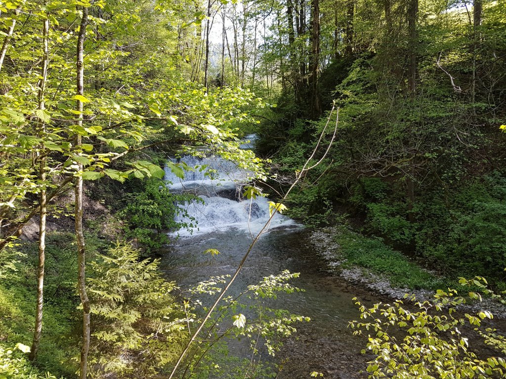 Brühlbach Wasserfall