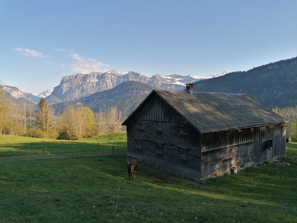 Blick auf die Kanisfluh