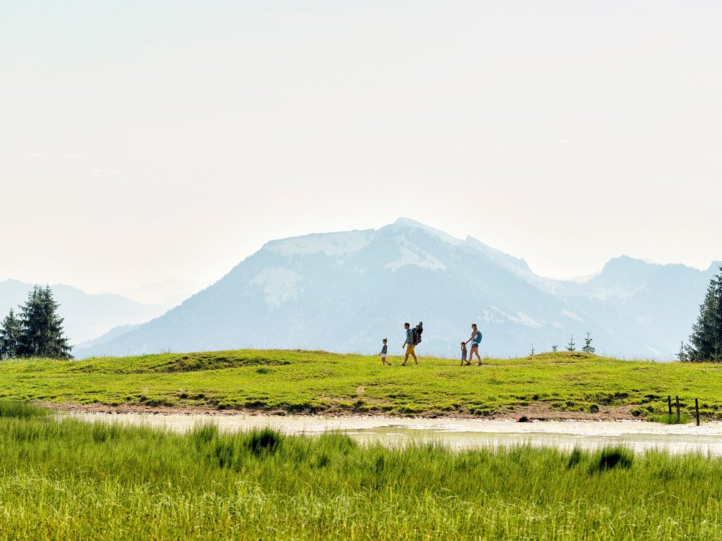 Panoramaweg auf dem Bödele