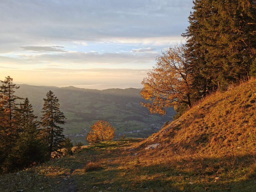 Zwischen Alpe Vordere Niedere und Älpele