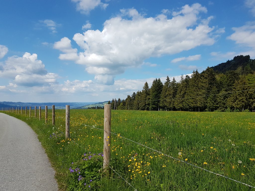 Greban unterhalb des Brüggelekopf