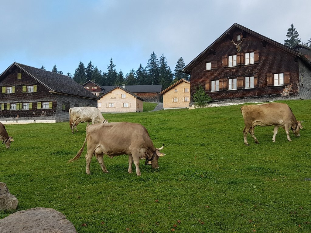 Auf dem Bödele