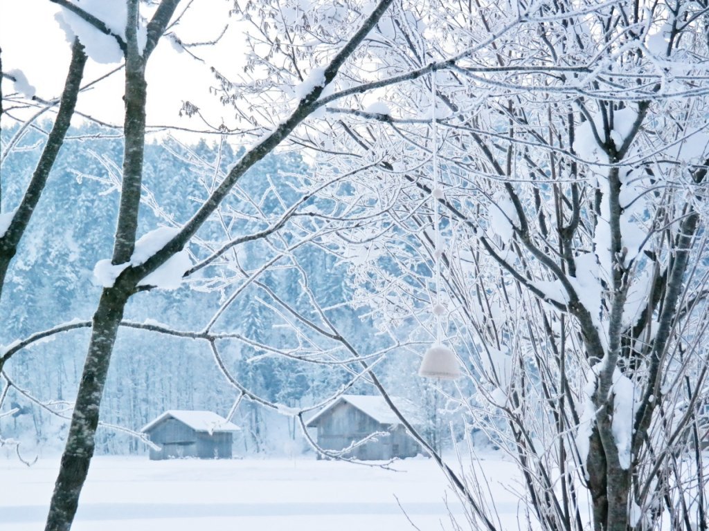 Winter in Bezau