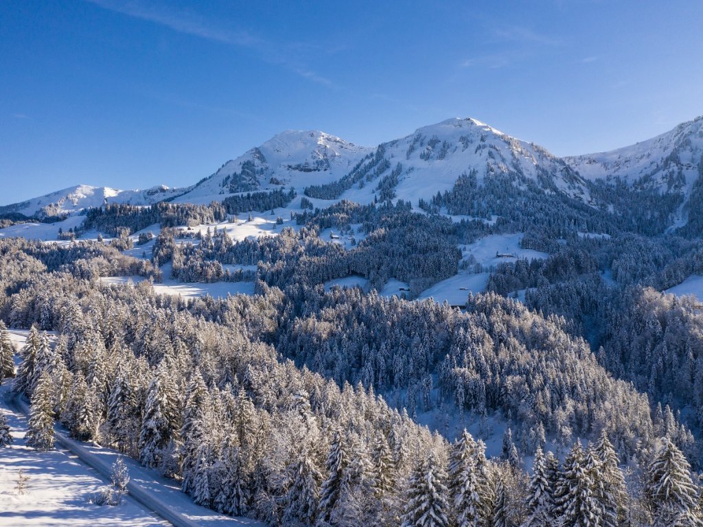 Blick auf die Winterstaude