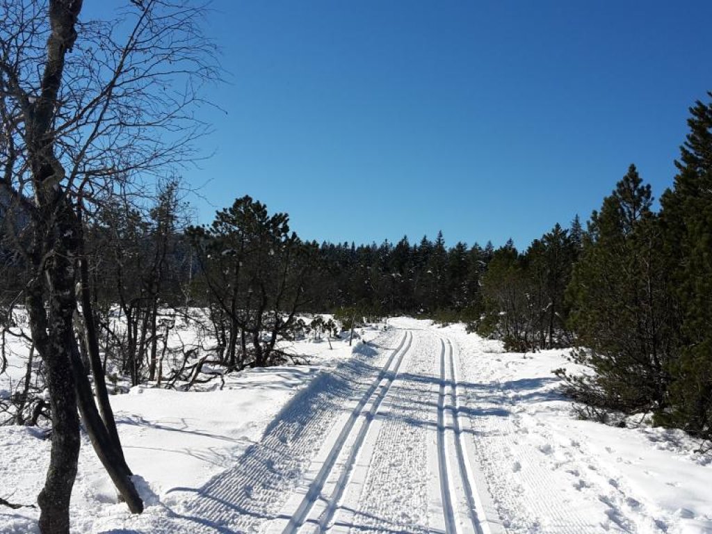 Langlaufloipe Bödele