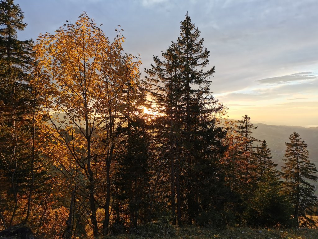 Zwischen Alpe Vordere Niedere und Älpele