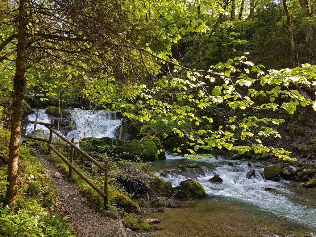 Brühlbach Wasserfall