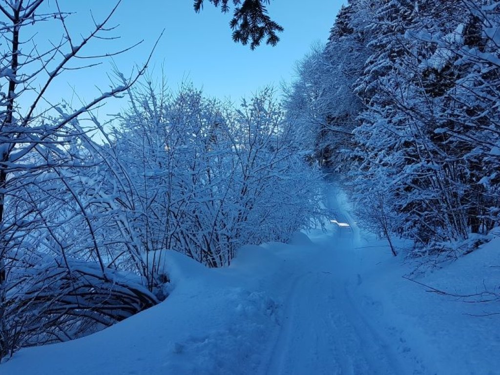 Winterwanderweg von Alberschwende nach Egg