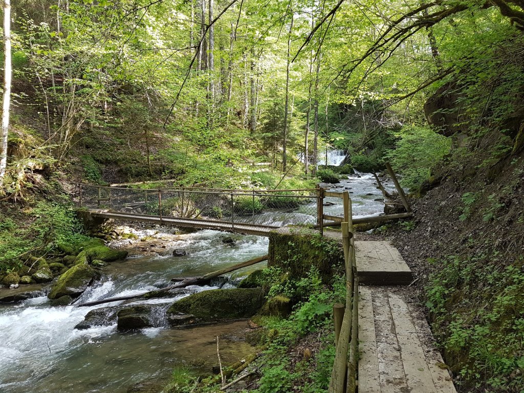 Brühlbach Wasserfall