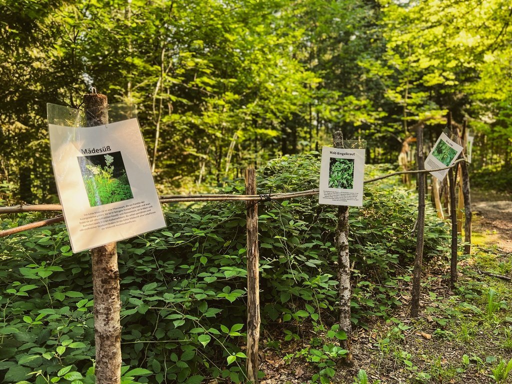 Energiewanderung