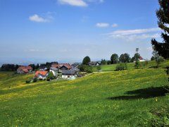 Höhenweg nach Scheidegg