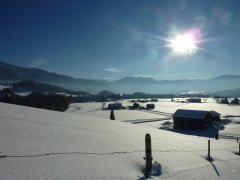 Blick auf die Loipe in Lingenau