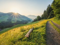 Wanderweg am Rotenberg