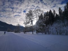 Langlaufen in Bizau