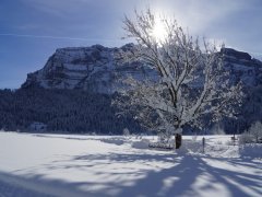 Winterlandschaft in Bizau