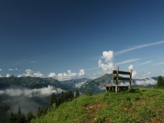 Ausblick Sonderdach