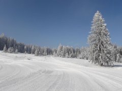 Tiefverschneite Loipe am Bödele